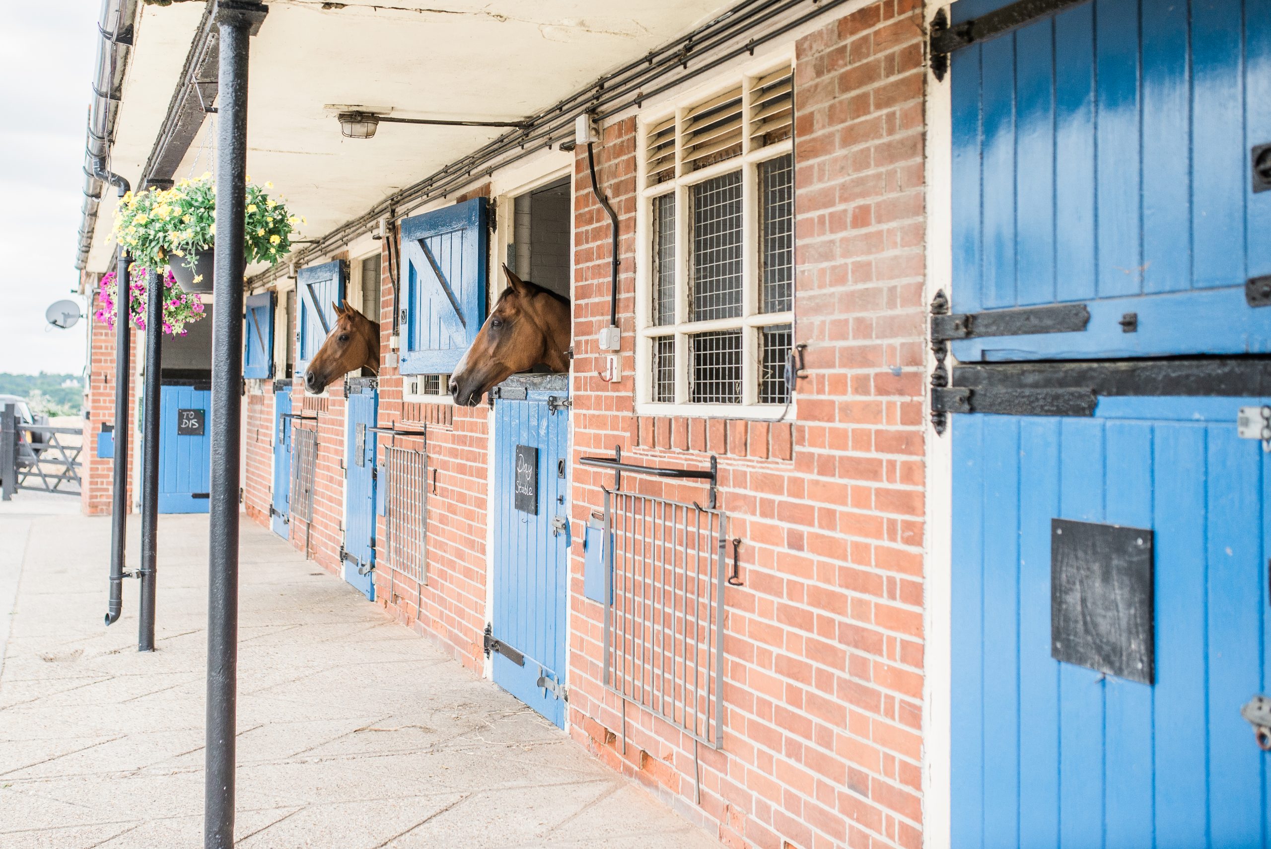 Information for Owners